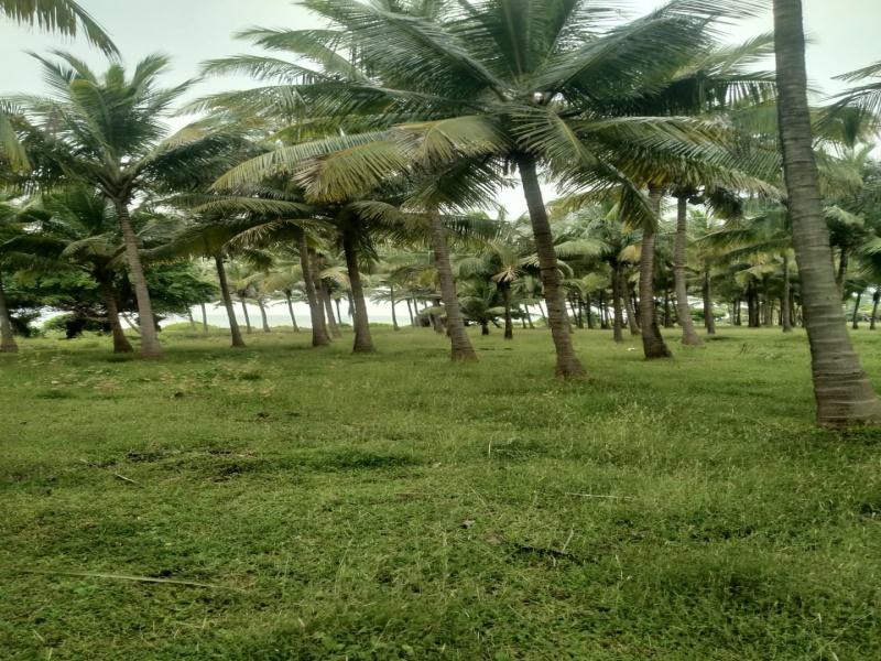  Residential Plot 46 Acre for Sale in Murud, Raigad