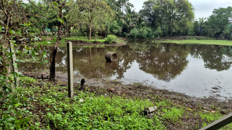  Residential Plot 42 Guntha for Sale in Mandwa, Alibag, Raigad