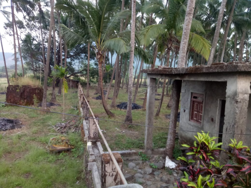  Residential Plot 81 Guntha for Sale in Murud, Raigad