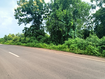  Residential Plot for Sale in Roha, Raigad