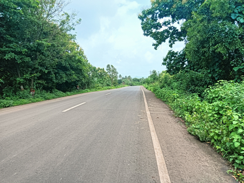  Residential Plot 20 Guntha for Sale in Roha, Raigad