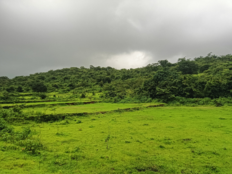  Residential Plot 7 Acre for Sale in Roha, Raigad