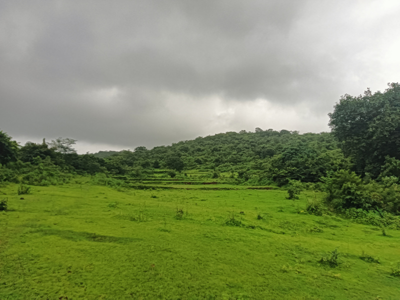  Residential Plot 7 Acre for Sale in Roha, Raigad