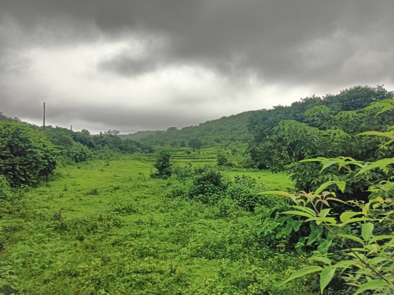  Residential Plot 7 Acre for Sale in Roha, Raigad
