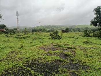  Residential Plot for Sale in Roha, Raigad
