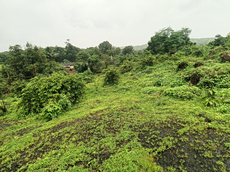  Residential Plot 14 Acre for Sale in Roha, Raigad
