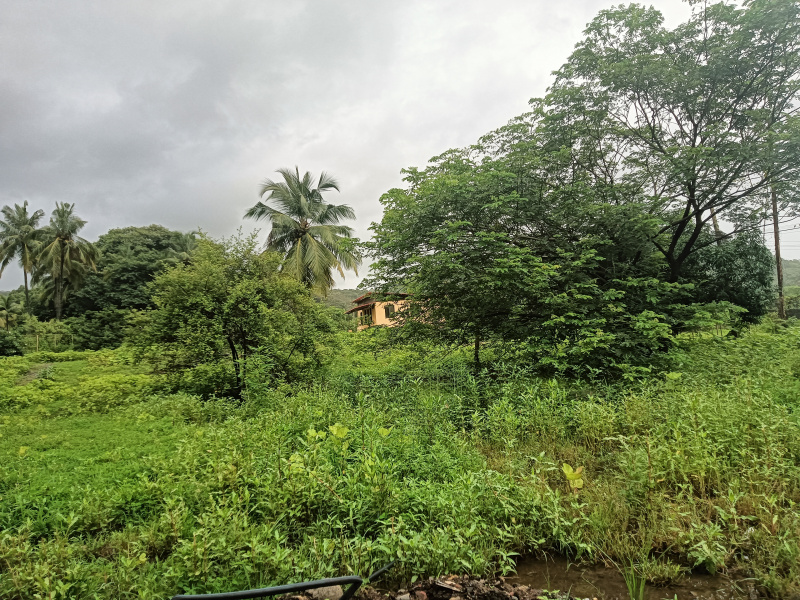  Residential Plot 2 Acre for Sale in Kashid, Raigad