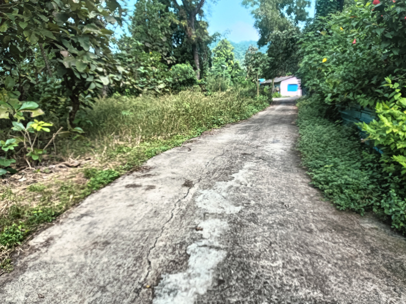 3 BHK 25 Guntha Farm House for Sale in Murud, Raigad