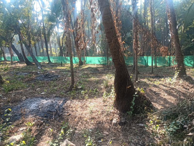  2 Guntha Residential Plot for Sale in Chaul, Alibag, Raigad