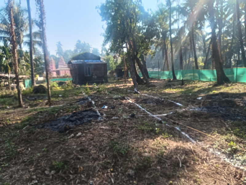  2 Guntha Residential Plot for Sale in Chaul, Alibag, Raigad