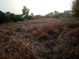  Residential Plot for Sale in Murud, Raigad