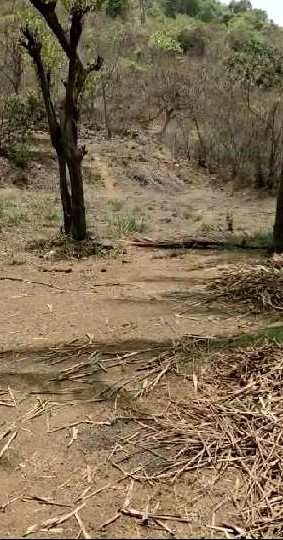  Residential Plot 9000 Sq.ft. for Sale in Alibag, Raigad