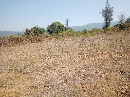  Residential Plot for Sale in Murud, Raigad