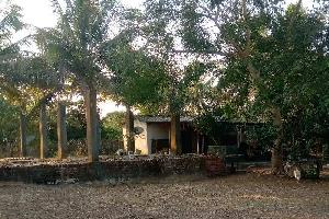 2 BHK Farm House for Sale in Murud, Raigad