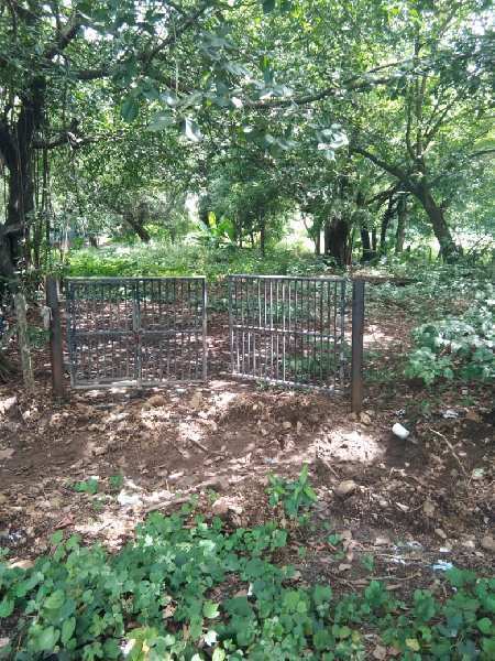  Residential Plot 3 Acre for Sale in Mandwa, Alibag, Raigad