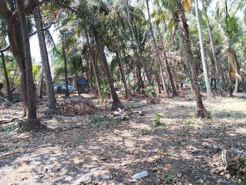  Residential Plot 27 Guntha for Sale in Alibag, Raigad