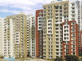 3 BHK Flat for Sale in Sector 100 Noida