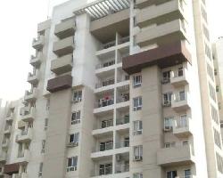 3 BHK Flat for Sale in Sector 100 Noida