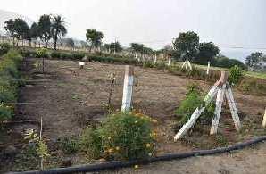  Agricultural Land for Sale in Nanakheda, Ujjain
