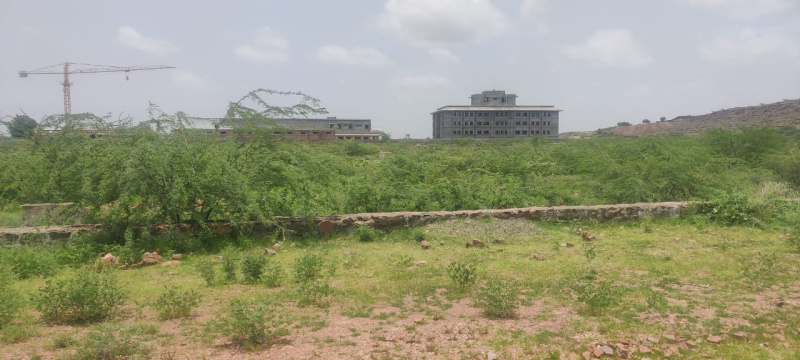  Residential Plot 1500 Sq.ft. for Sale in Soorsagar, Jodhpur