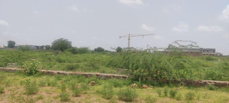  Residential Plot 1500 Sq.ft. for Sale in Soorsagar, Jodhpur