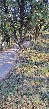 Commercial Land for Sale in Galore, Hamirpur