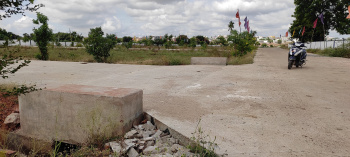  Residential Plot for Sale in B Thandrapadu, Kurnool