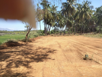  Residential Plot for Sale in Tenkasi, Tirunelveli