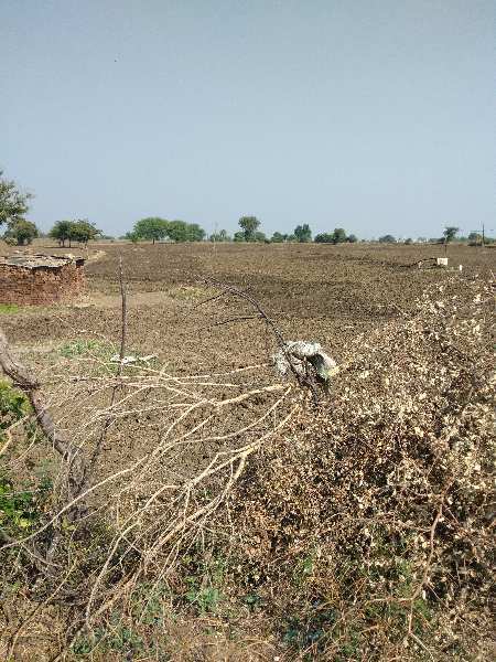Agricultural Land 2 Acre for Sale in Khurai, Sagar