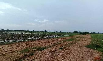  Agricultural Land for Sale in Old Guntur