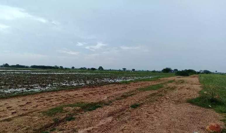 Agricultural Land 484 Sq. Yards for Sale in Old Guntur