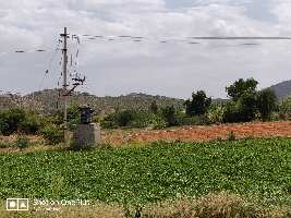  Agricultural Land for Sale in Kothacheruvu, Anantapur