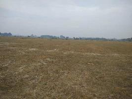  Agricultural Land for Sale in Bighapur, Unnao