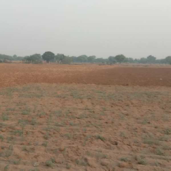 Agricultural Land 27 Bigha for Rent in