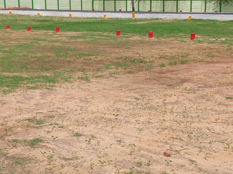 Residential Plot 1200 Sq.ft. for Sale in Panjapur, Tiruchirappalli