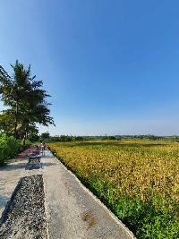  Agricultural Land for Sale in Vasai West, Mumbai