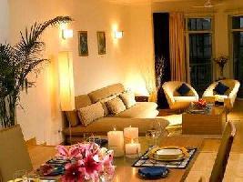 3 BHK Flat for Sale in Sector 134 Noida