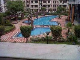 2 BHK Flat for Rent in Sector 93a Noida