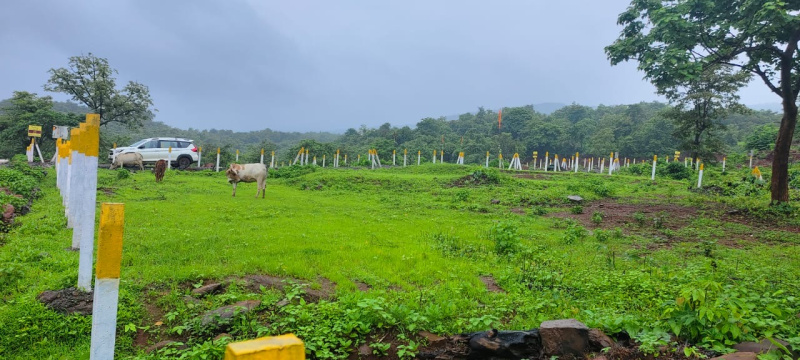  Industrial Land 50 Acre for Sale in Mangaon, Raigad