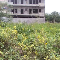  Residential Plot for Sale in Sector 2 Bahadurgarh