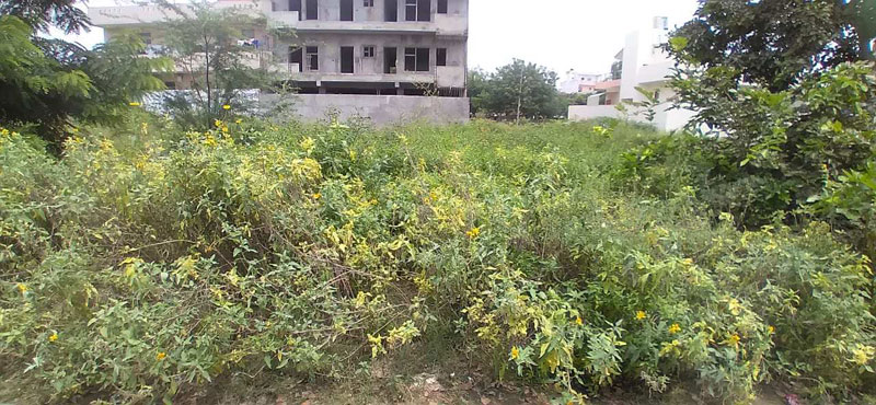 Residential Plot 500 Sq. Yards for Sale in Sector 2 Bahadurgarh