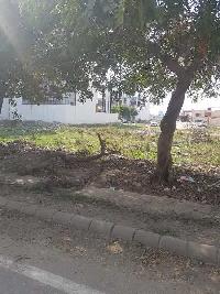  Residential Plot for Sale in Sector 2 Bahadurgarh