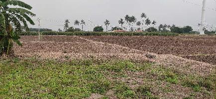  Agricultural Land for Sale in Dharapuram, Tirupur