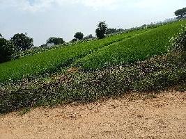  Agricultural Land for Sale in Tukkuguda, Hyderabad