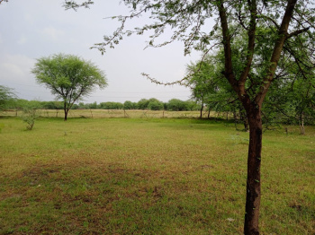  Agricultural Land for Sale in Riico Industrial Area Behror, 