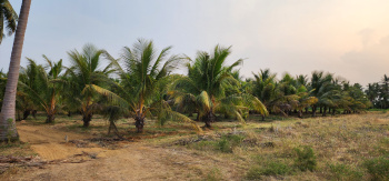  Agricultural Land for Sale in Vallioor, Tirunelveli