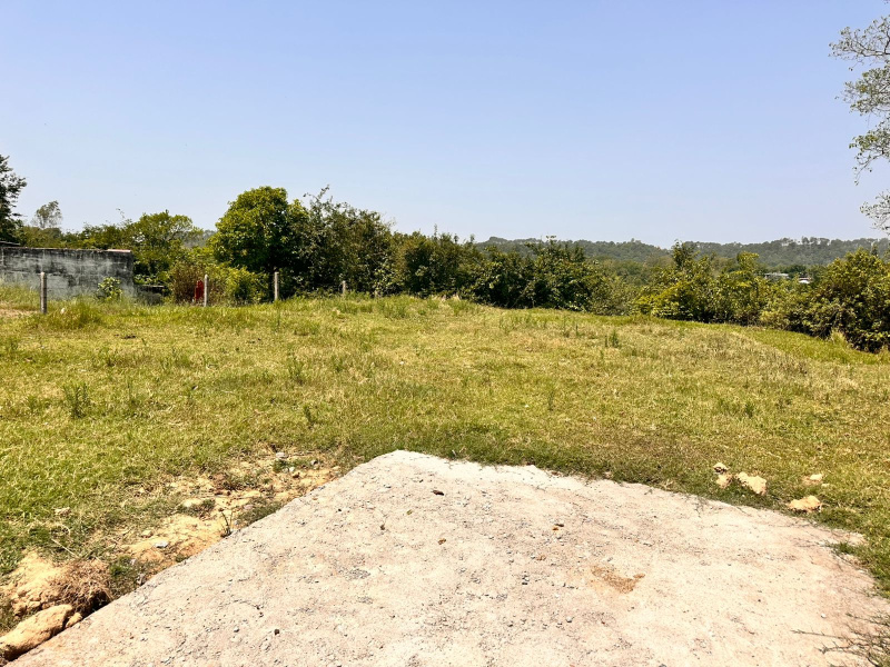  Residential Plot 20 Marla for Sale in Pragpur, Kangra