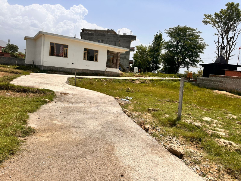  Residential Plot 20 Marla for Sale in Pragpur, Kangra