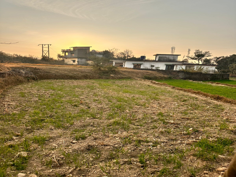  40 Marla Residential Plot for Sale in Bhawarna, Kangra