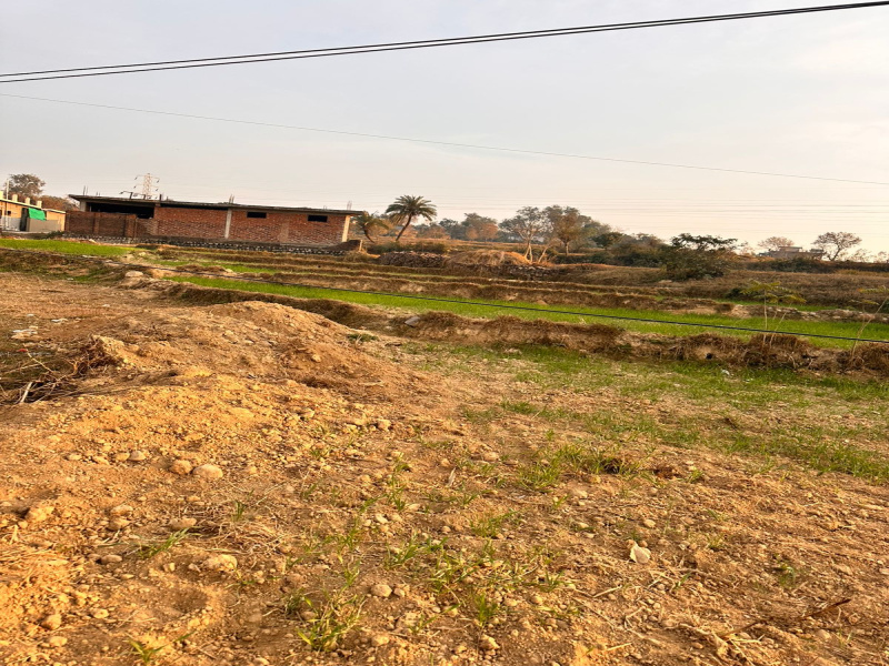  40 Marla Residential Plot for Sale in Bhawarna, Kangra